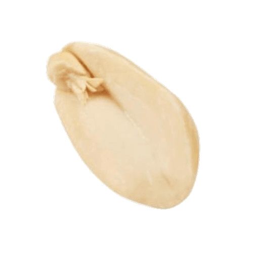 Peanut