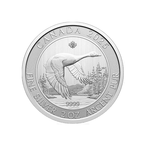 2oz Canada Goose Silver Coin