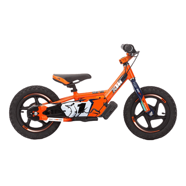 12eDrive Bike