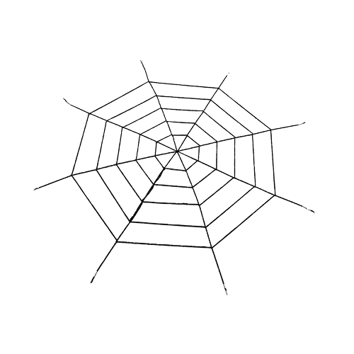 Spiderweb